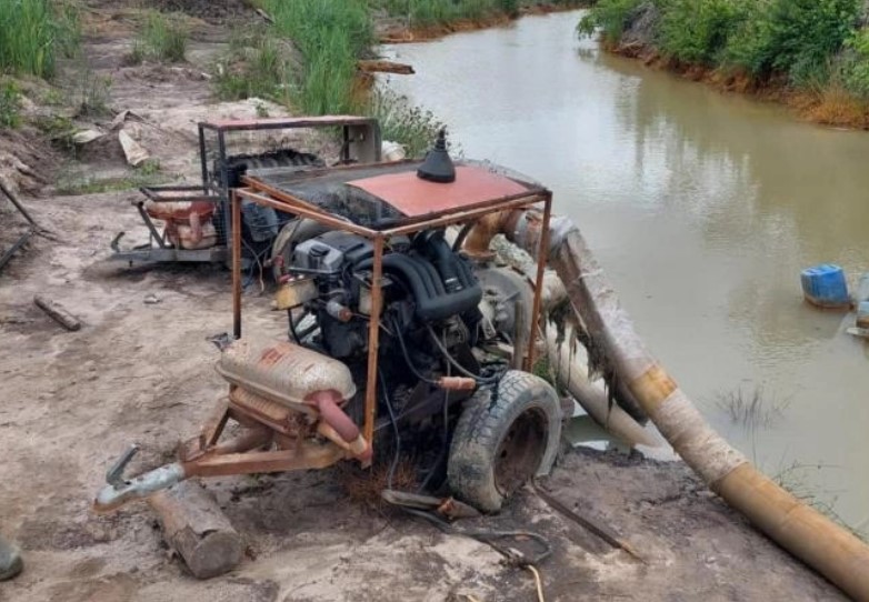 У лісництві на Рівненщині незаконно видобували бурштин