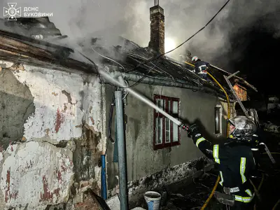 На Буковині за минулу добу сталося 4 пожежі: травмувався чоловік Фото-1