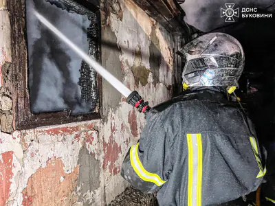 На Буковині за минулу добу сталося 4 пожежі: травмувався чоловік Фото-2