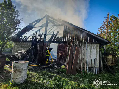 На Буковині за минулу добу сталося 4 пожежі: травмувався чоловік Фото-9