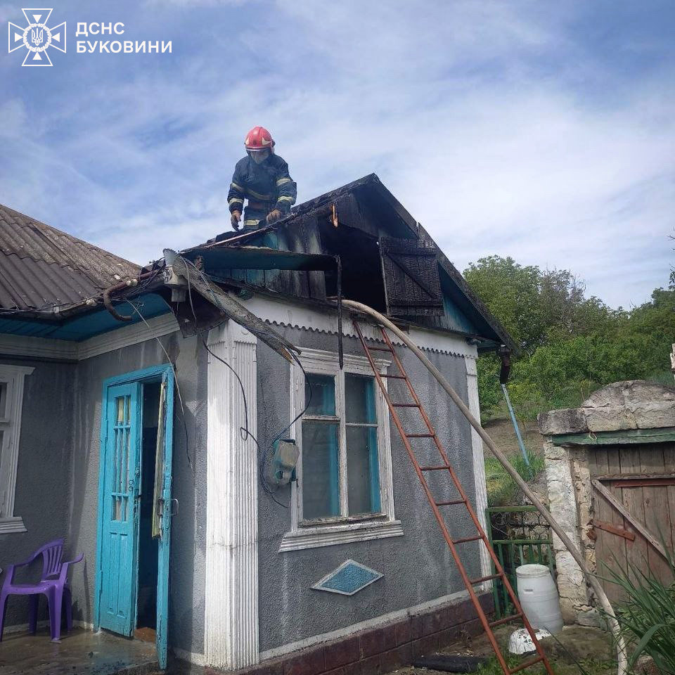 На Буковині сталася пожежа в житловому будинку та національному парку «Хотинський»