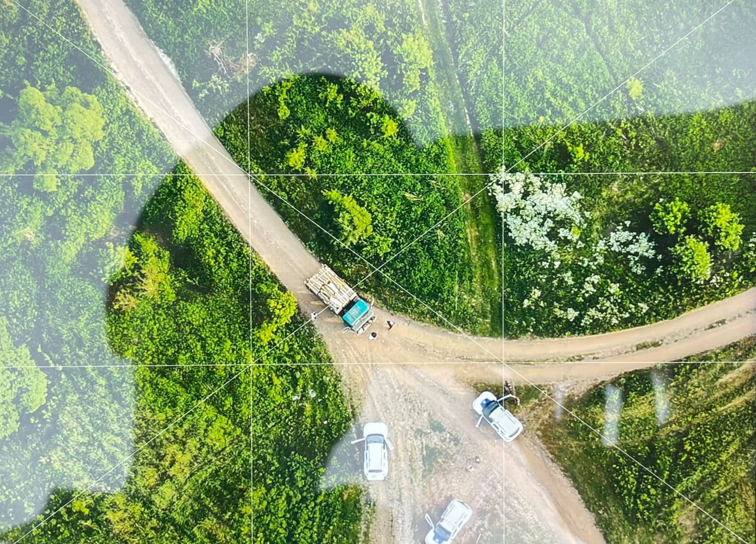 На Закарпатті затримали двох чоловіків, які незаконно вирубували дерева поблизу кордону