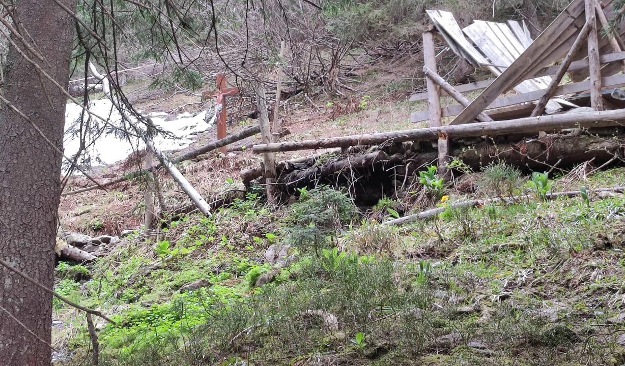 На гірських маршутах поруч із кордоном з’явилося багато ведмедів