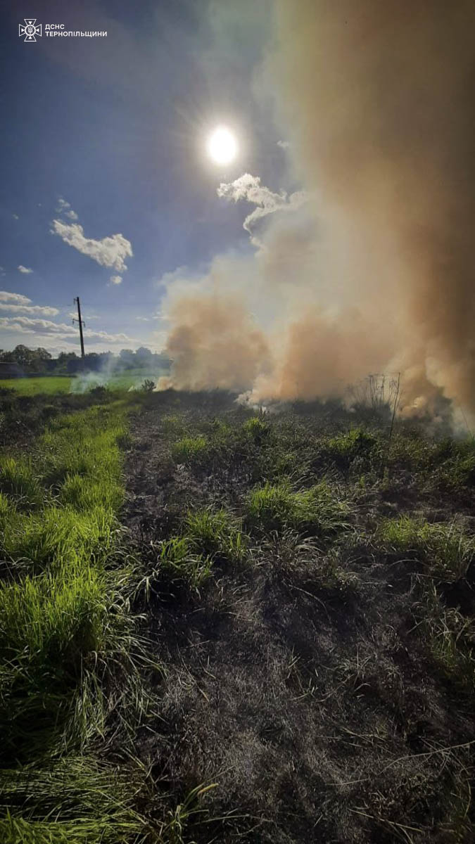 За добу на Тернопільщині ліквідували 12 пожеж