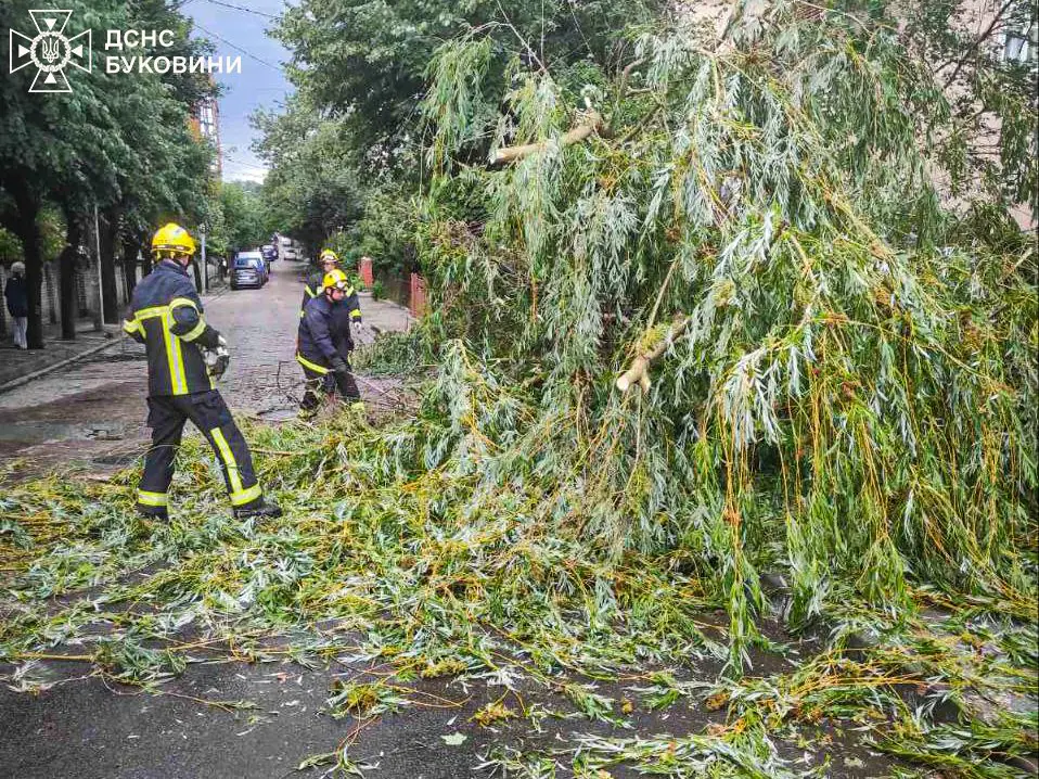 На Буковині буря наробила страшного лиха — рятувальники показали наслідки Фото-4