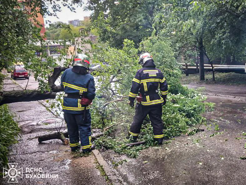 На Буковині буря наробила страшного лиха — рятувальники показали наслідки Фото-3