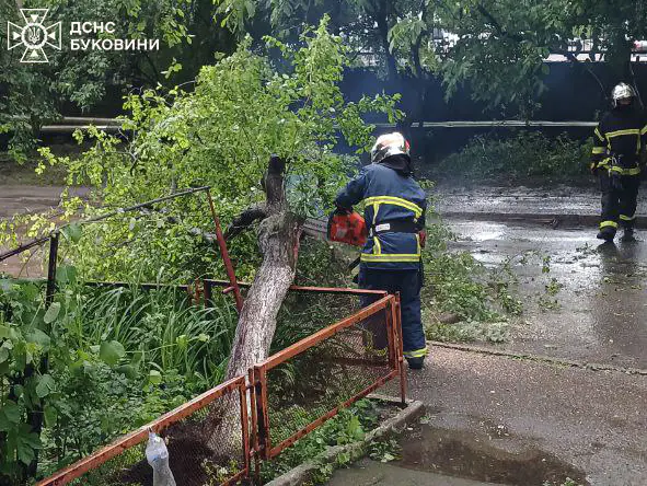 На Буковині буря наробила страшного лиха — рятувальники показали наслідки Фото-2