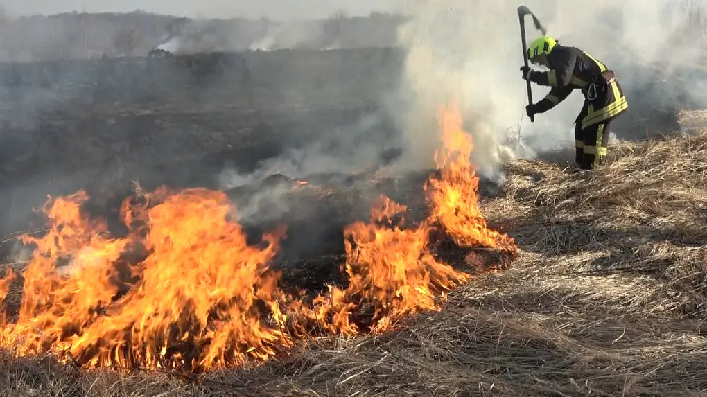 На Буковині три пожежі за добу