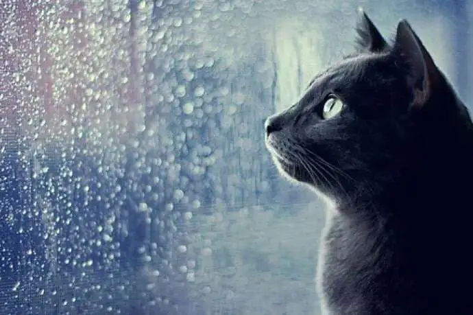 На Закарпатті можливе похолодання, - погода