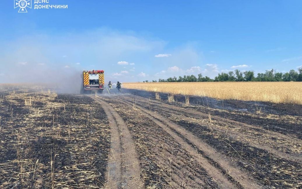 Окупанти намагаються знищити на Донеччині хлібні лани: що відомо