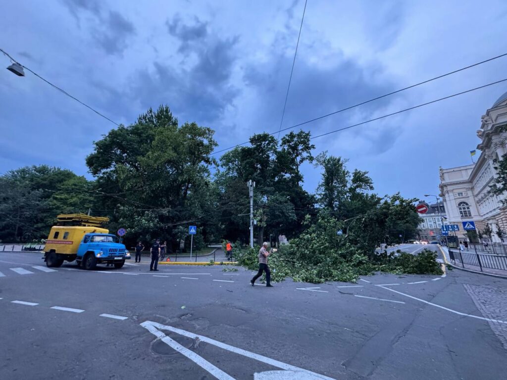 У Львові через негоду багато впало дерев