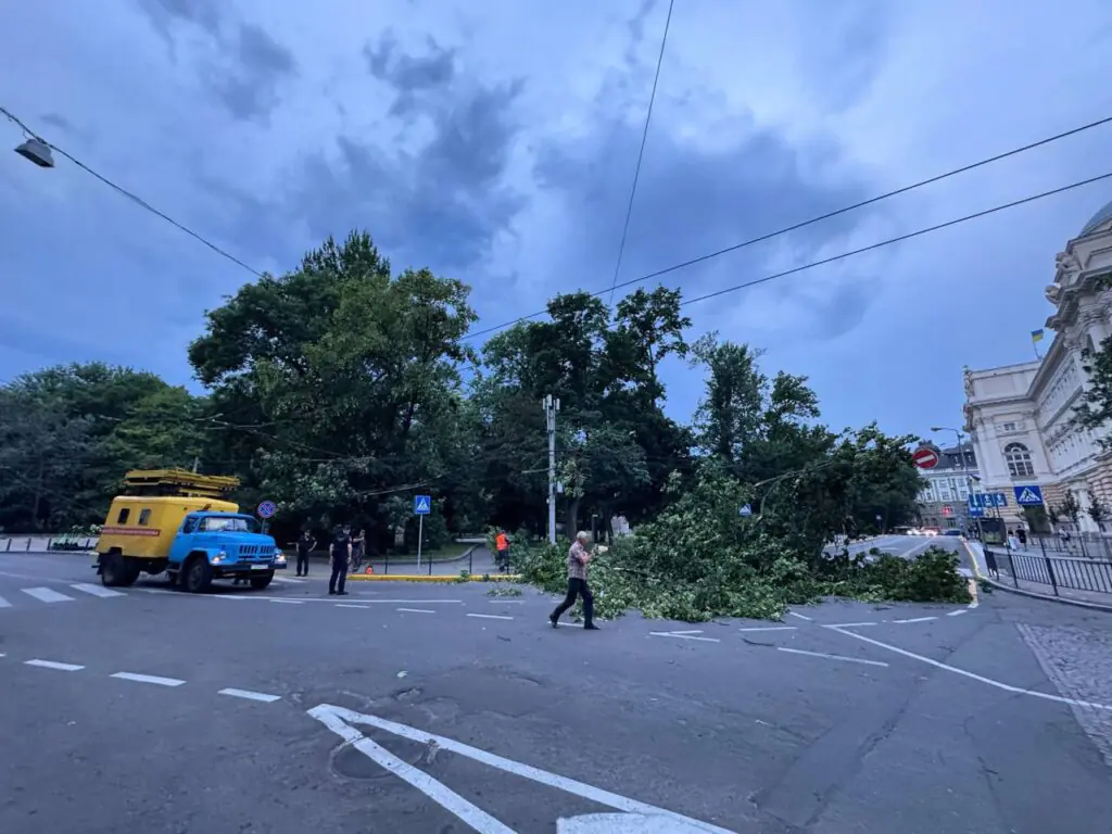 У Львові через негоду багато впало дерев